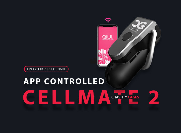 Lockink Cellmate 2 App Controlled Chastity Cage