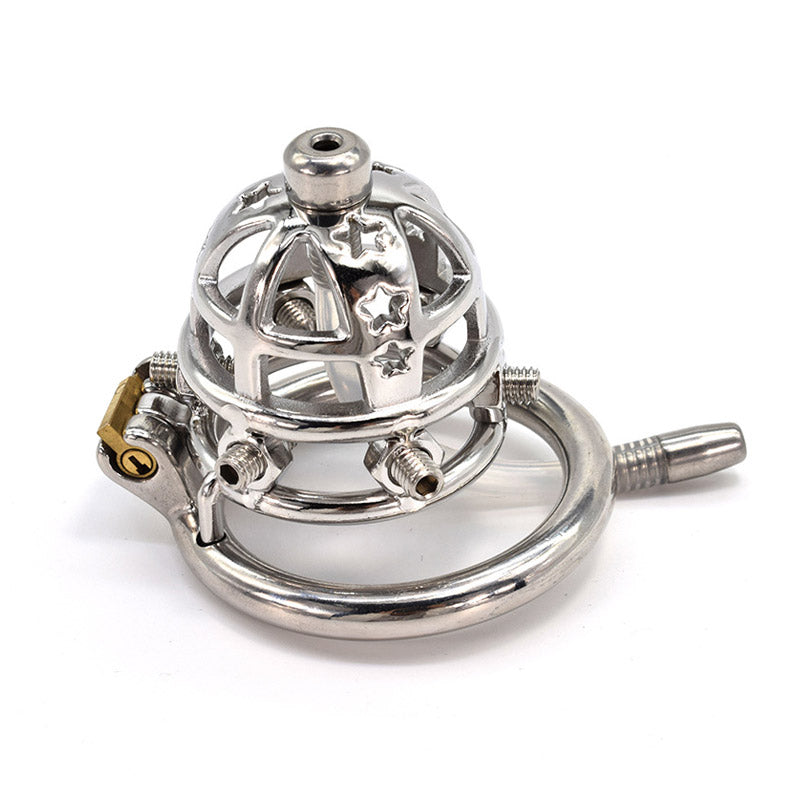 Chastity Cage With Spikes