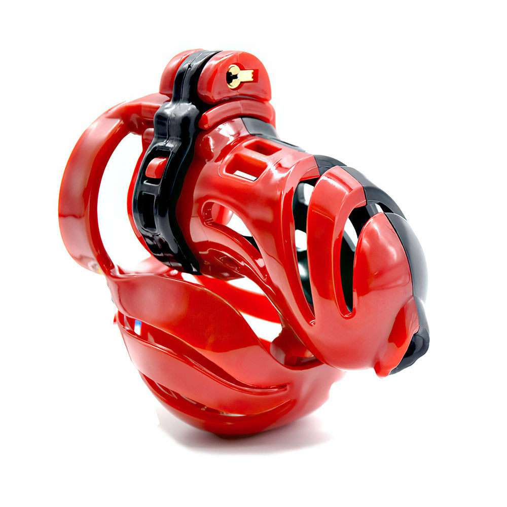 E-Stim Chastity Cage