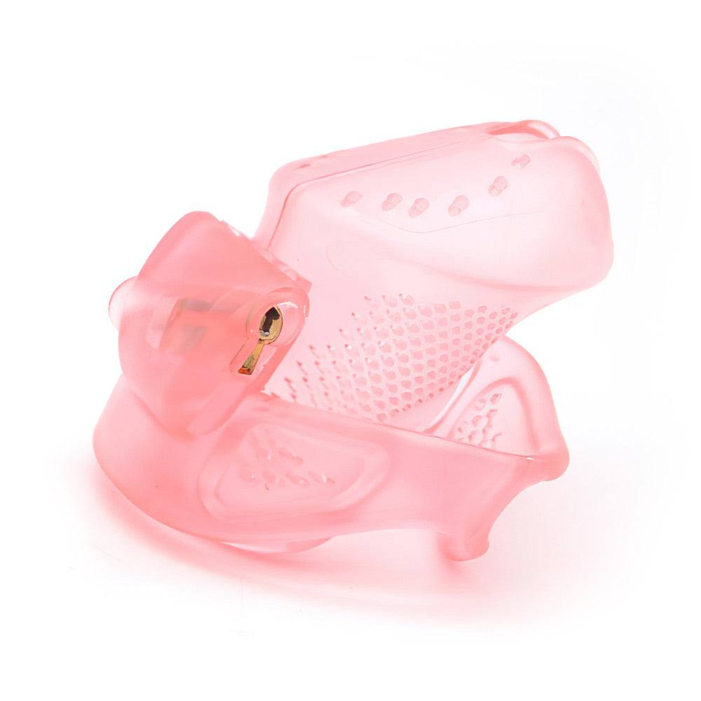 Plastic Chastity Lock