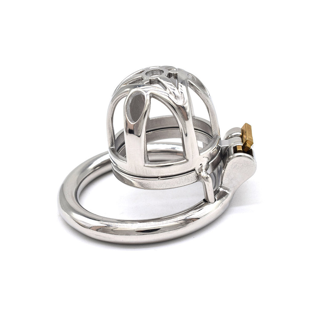 Stainless Steel Cock Cage